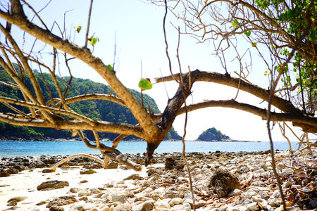 Tropical beach in Thailand