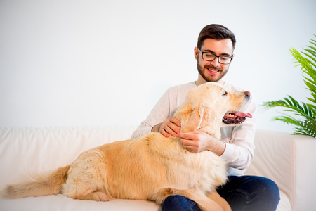 Man playing with his dogの写真素材