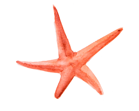 Watercolor drawing of a starfishの写真素材
