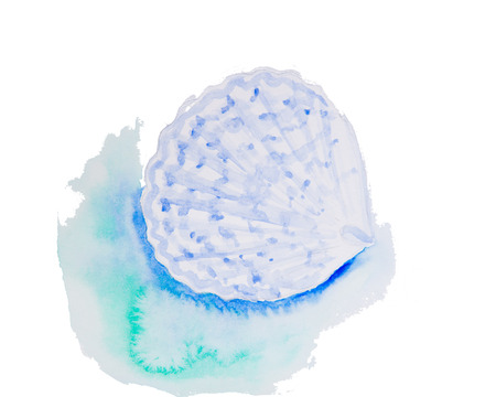 Watercolor drawing of a seashellの写真素材