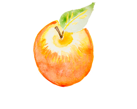 Watercolor illustration of an appleの写真素材