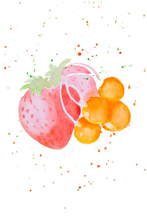 Watercolor illustration of berriesの写真素材