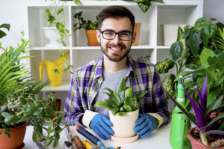 Male florist workingの写真素材