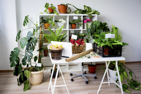 Inside a florist shopの写真素材