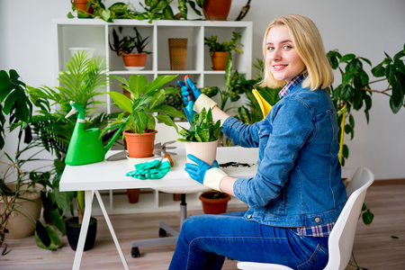 Female florist workingの写真素材