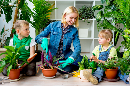 Family gardening togetherの写真素材