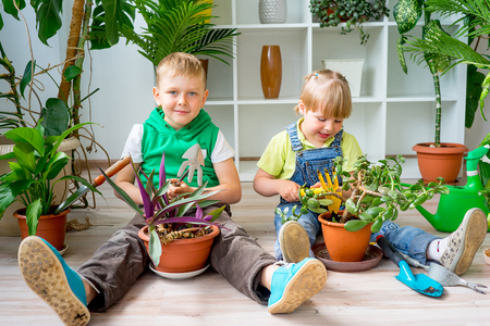 Kids gardening in greenhouseの写真素材