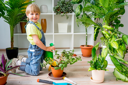 Girl in a greenhouseの写真素材