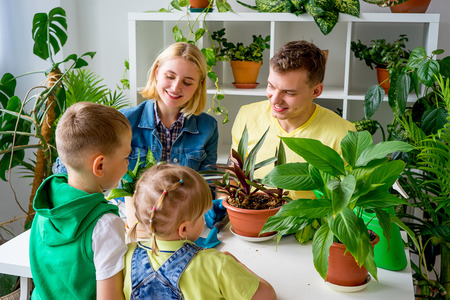 Family gardening togetherの写真素材