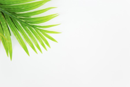 Summer vacation things neatly organised. Travel conceptの写真素材