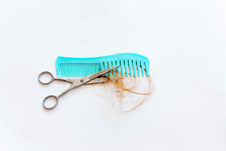 Scissors and a comb on a white background