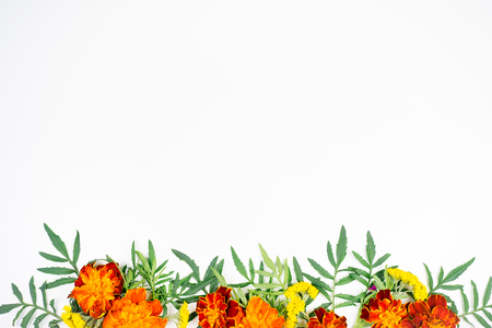 Flowers composition imageの写真素材