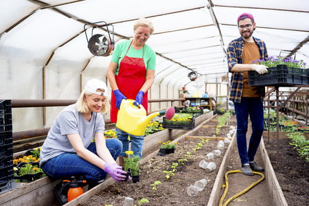People working in a greenhouseの写真素材
