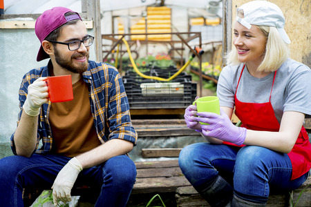 People working in a greenhouseの写真素材