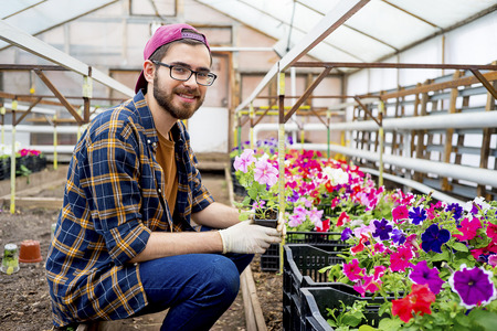 Man working in a greenhouseの写真素材
