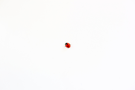 Things for teaの写真素材