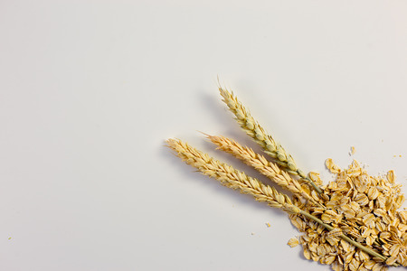 Different grain cropsの写真素材