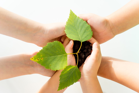 Kids with a plantの写真素材