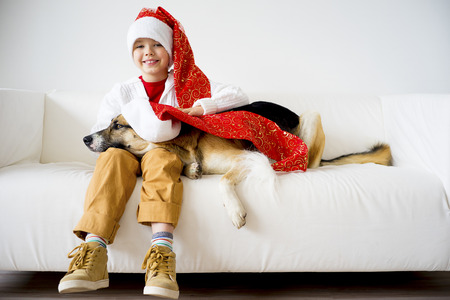 Christmas with a dogの写真素材