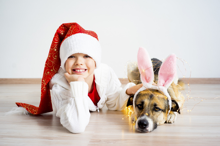 Christmas with a dogの写真素材