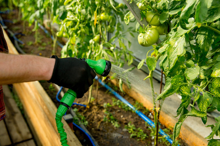 Happy couple gardeningの写真素材