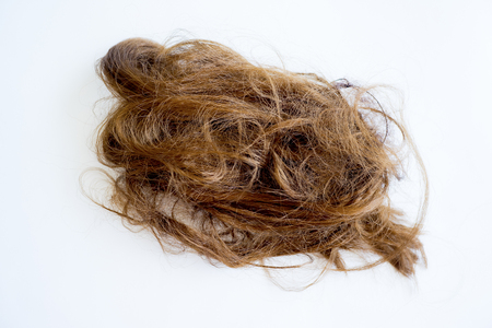 Image of damaged hairの写真素材