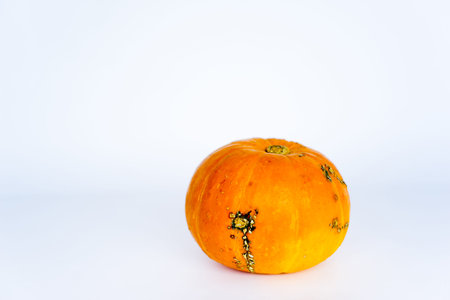 Assortment of fresh vegetablesの写真素材