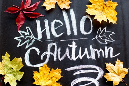 Background with autumn yellow leavesの写真素材