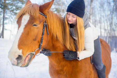 Girl with a horseの写真素材