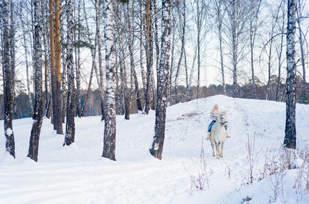 Girl with a horseの写真素材