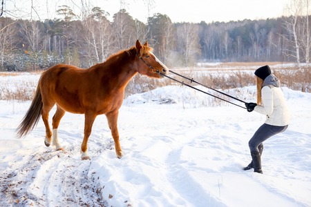 Girl with a horseの写真素材