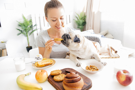 Young woman with her dog in a bed. Breakfast in bedの写真素材