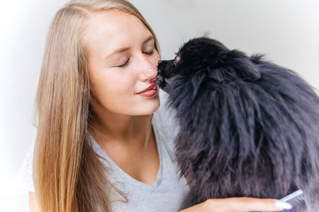 a portrait of a professional dog hairdresser grooming a dogの写真素材