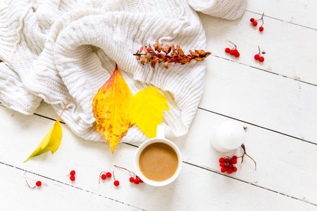 Autumn composition made of fallen leaves on white background