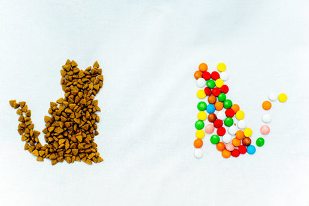 cat figure made of dry pet foodの写真素材