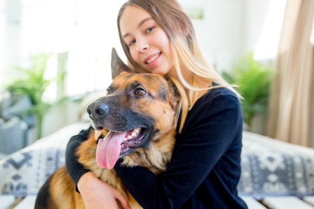 a portrait of a girl training her dog at homeの写真素材