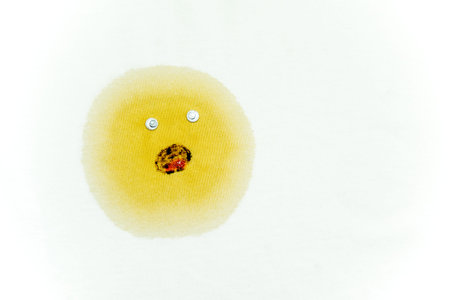 strokes and blots of paint on white backgroundの写真素材