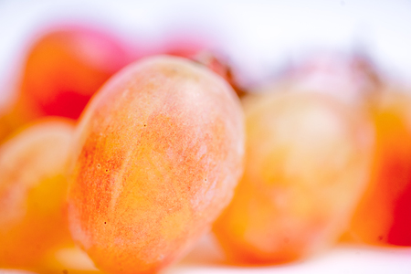 Creative layout made of fruits on a white backgroundの写真素材