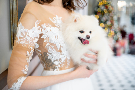 Beautiful young woman in an evening dress celebrating christmasの写真素材