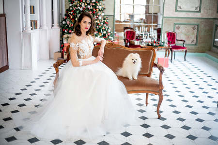 Beautiful young woman in an evening dress celebrating christmasの写真素材