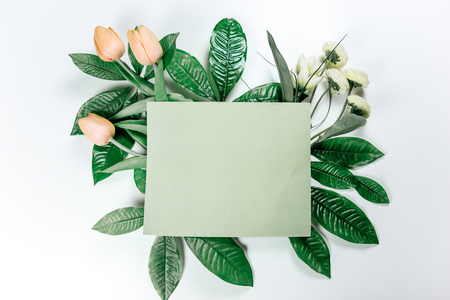 green sticky note with green plant leavesの写真素材