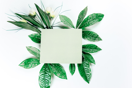 green sticky note with green plant leavesの写真素材