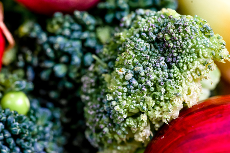 a fresh group of vegetables on white backgroundの写真素材
