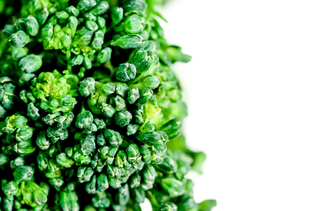 a fresh group of vegetables on white backgroundの写真素材