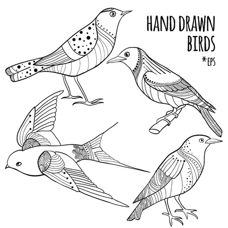 Vector set of hand drawn birds. Collection of sketch style bird with doodles. Black on white isolated outline drawing for coloringのイラスト素材