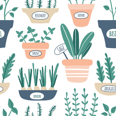Kitchen herbs seamless pattern. Green growing sage, rosemary, mint, thyme, arugula, onion with labels. Culinary herbs in pots. Gardening. Vector hand drawn illustrationのイラスト素材