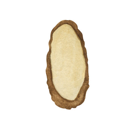 Single element watercolor drawn oval sections of tree trunks. Illustration is watercolor. Wooden...