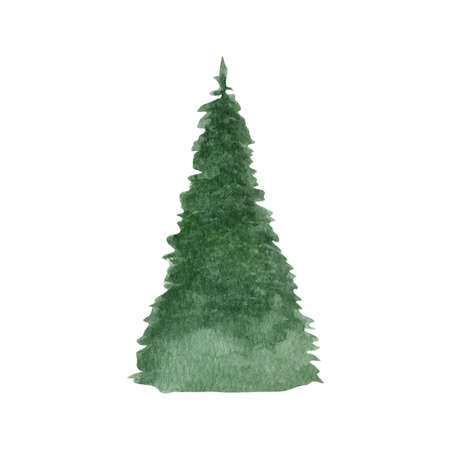 Watercolor illustration of a fir. The spruce is hand drawn on a white background. For postcards and gift boxes, textiles, websites, cards; holiday paper and for huge things and print.の写真素材