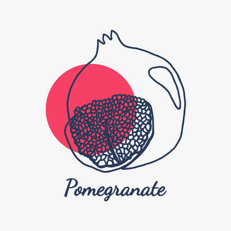 Illustration of a pomegranate fruit drawn with a black pen. In a flat style.のイラスト素材