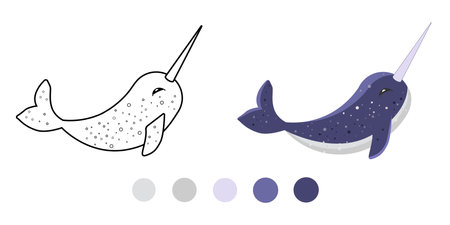 Vector illustration of Narwhal for children. isolated on white background. Coloring book.のイラスト素材